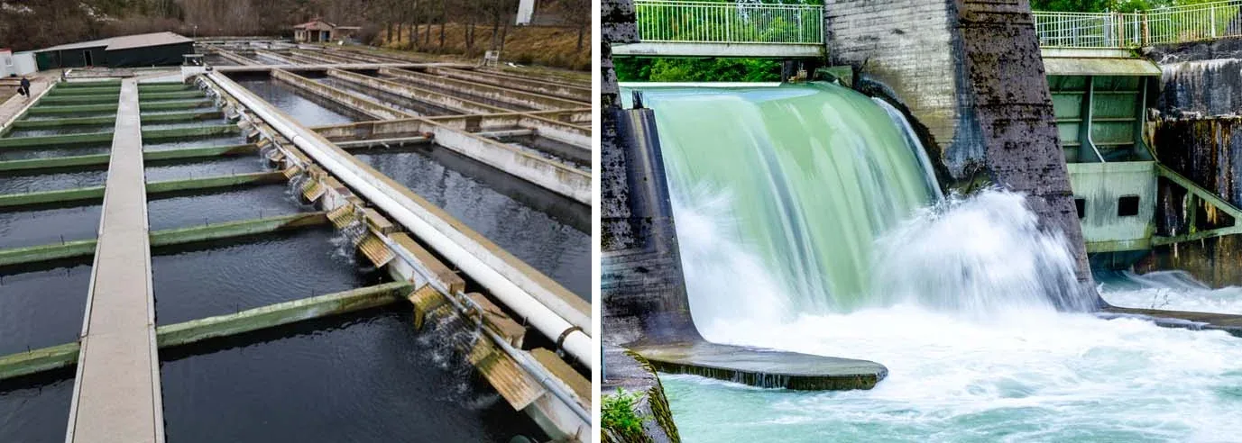 Patent for Demand Management System for the operation of small hydropower generation using aquaculture effluent (as a DER)